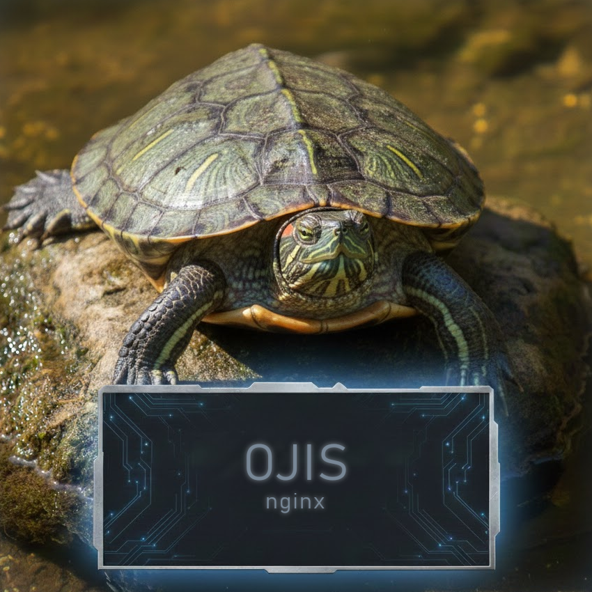 Ojis the Red-Eared Slider